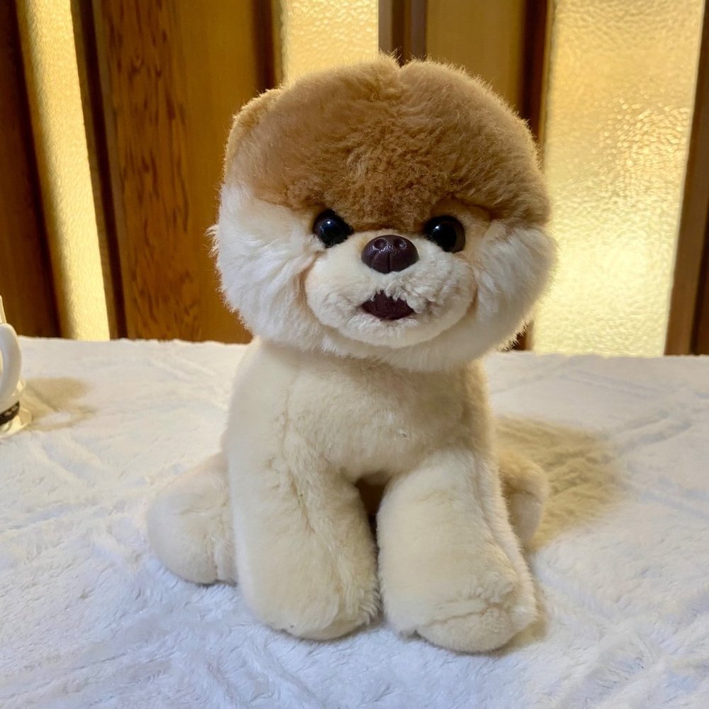 Gund Boo The World's Cutest Dog Plush